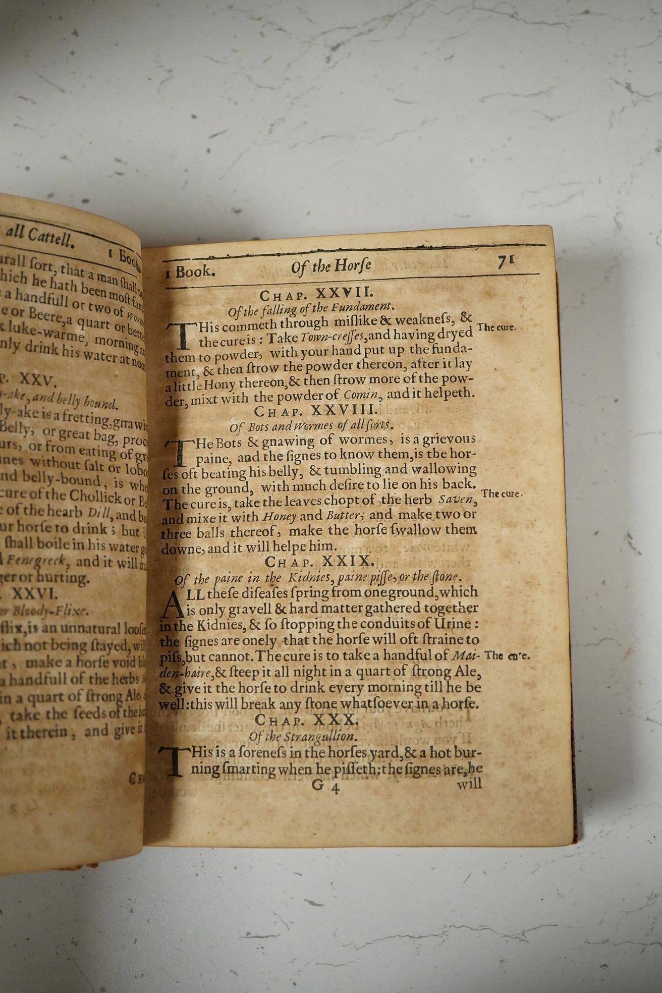 [Markham, Gervase - A Way to Get Wealth ... the eighth time corrected ... printed for E. Brewster and George Sawbridge ... 1653]. i.e. lacks general title; but the six parts (each with its own title) complete, and bound